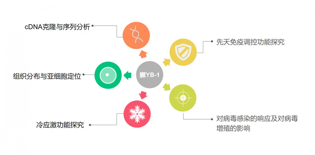 海洋学子