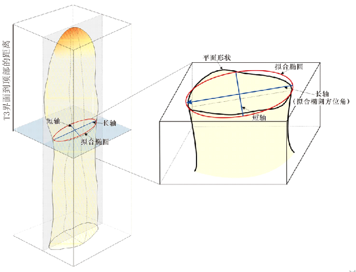 海洋学子