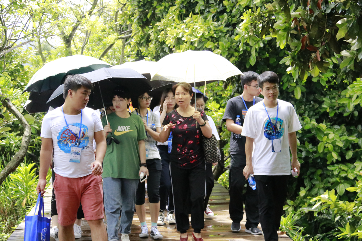 大学生夏令营