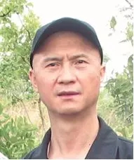 ds